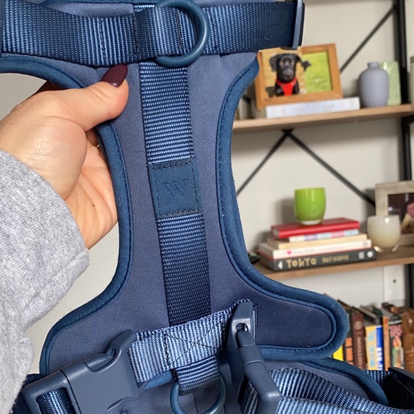 Wild One dog harness set + collar - Picture 5 of 10